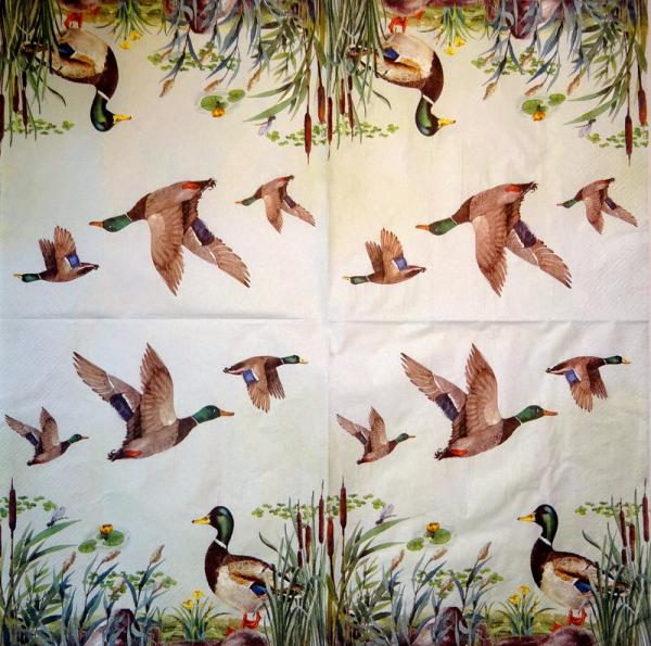 139 Ducks - 3-ply